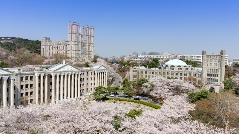 Độ tuổi du học Hàn Quốc