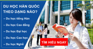 Bạn sẽ đi du học Hàn Quốc theo dạng nào phù hợp điều kiện tuyển sinh?