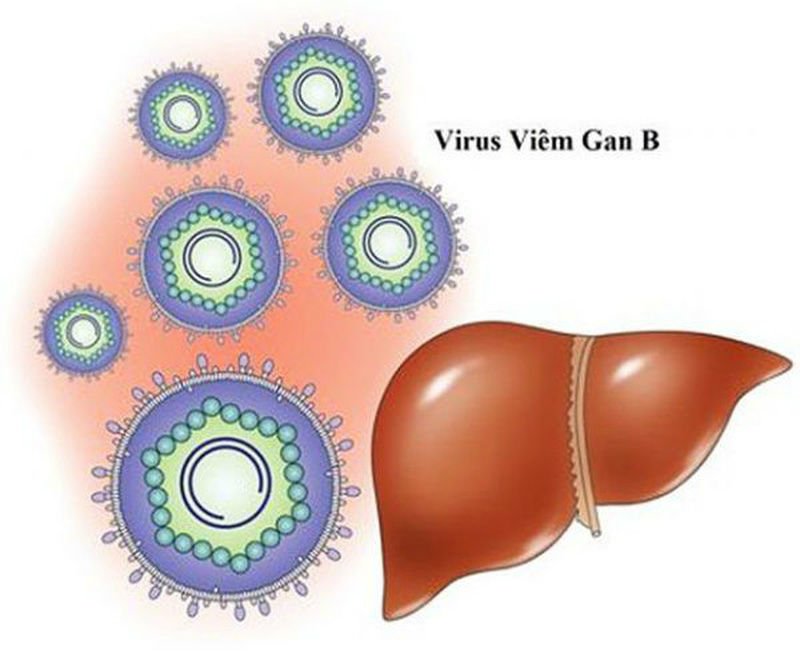 Viêm gan B có đi du học Nhật được không?